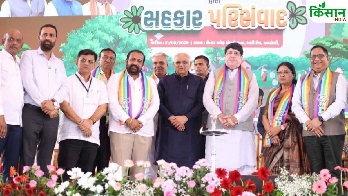 ‘वोकल फॉर लोकल’ अभियान से मजबूत होगी गांवों की अर्थव्यवस्था, किसानों की कमाई में भी इजाफा