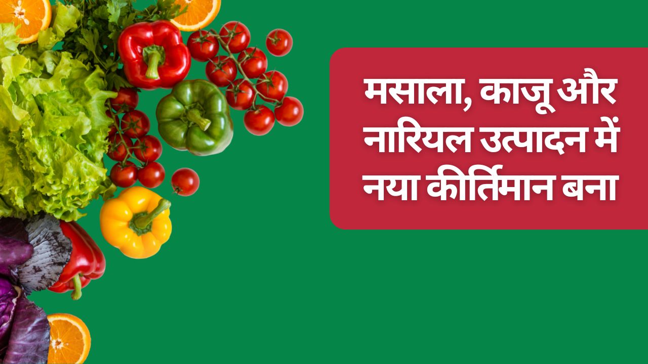 फलों-सब्जियों की बंपर पैदावार.. किसानों की आमदनी बढ़ी, केंद्र ने उत्पादन आंकड़े जारी किए