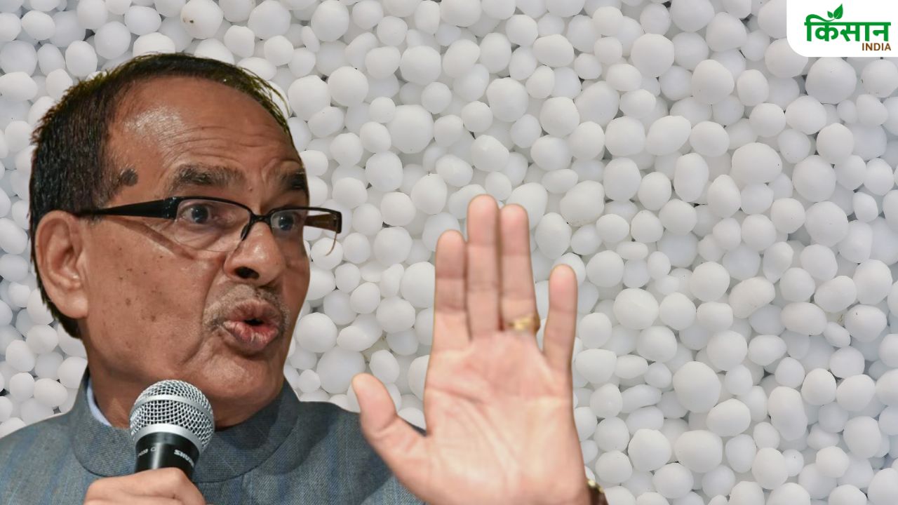नकली खाद-बीज बेचने वालों की तुरंत करें शिकायत, कृषि मंत्रालय ने जारी किया टोल फ्री नंबर