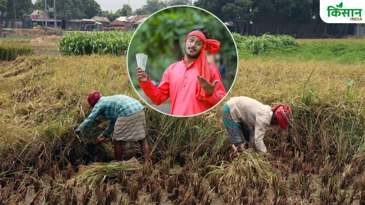 अब नहीं होगी फसल बर्बादी, मंडी से भी 10 फीसदी ज्यादा मिलेगा रेट.. गजब का है यह धांसू प्रोजेक्ट