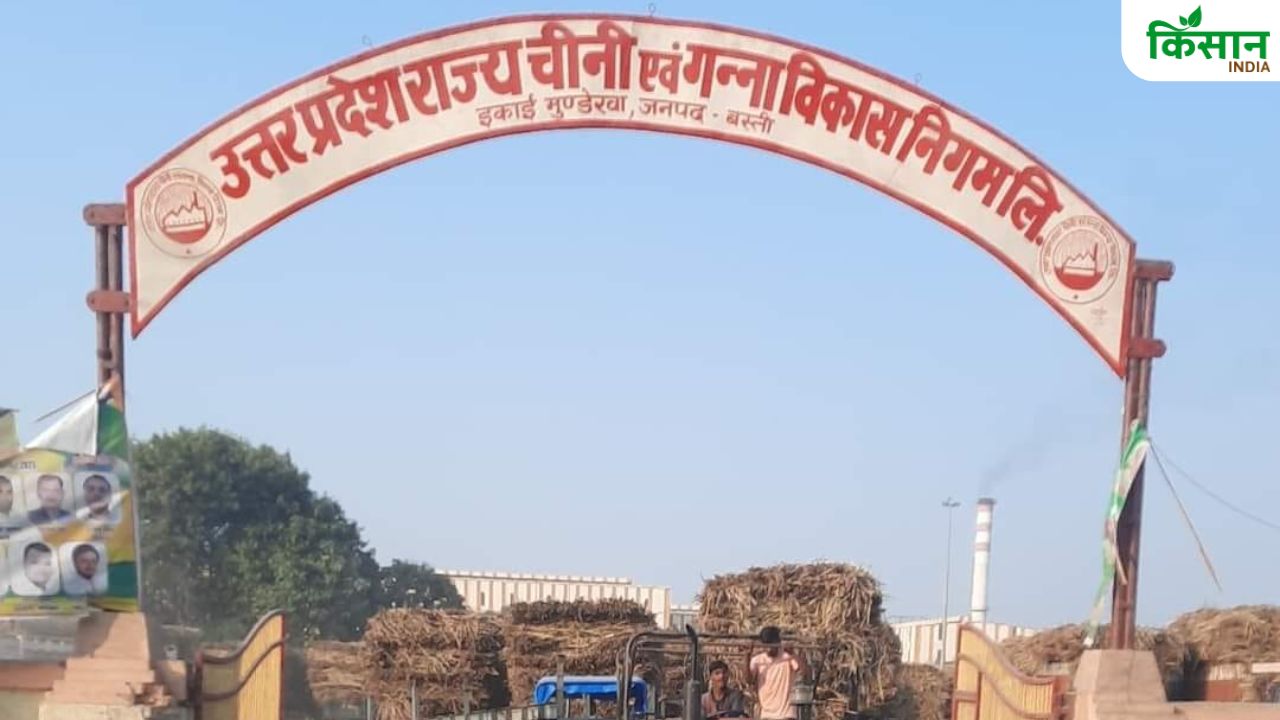सालों से बंद वो मिल जिससे जुड़ी है किसानों के संघर्ष की कहानी, 29 हजार परिवारों से जुड़ा है मामला