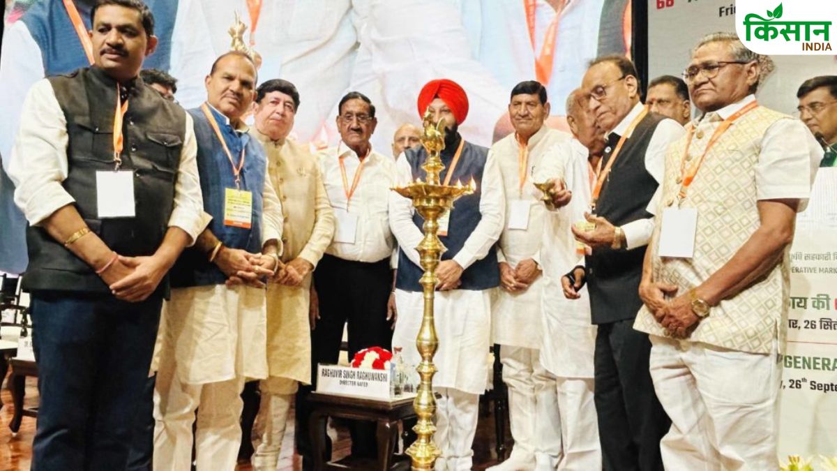 NAFED के नेट प्रॉफिट में 15 फीसदी का इजाफा, 26946.59 करोड़ रुपये रहा टर्नओवर