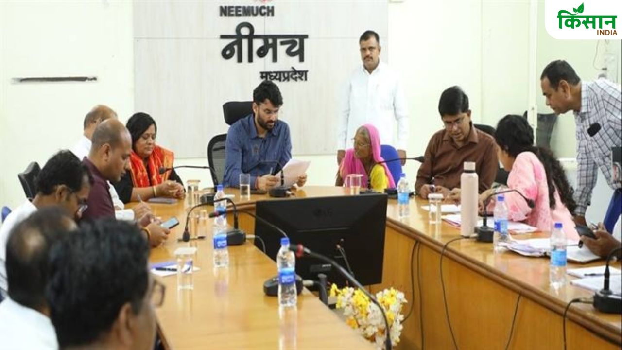 मध्य प्रदेश में येलो मोजेक ने फसल चौपट की, किसानों को मुआवजा देने के लिए सर्वे रिपोर्ट तलब