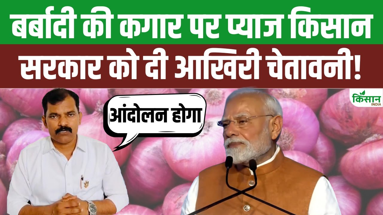 देशभर के प्याज किसानों की बढ़ीं मुश्किलें, सरकार से निर्यात बढ़ाने और सब्सिडी देने की मांग