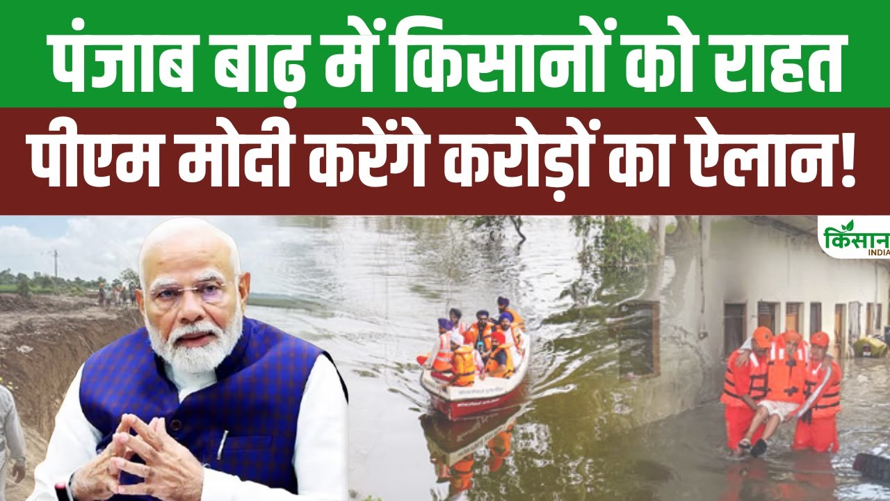 9 सितंबर के पंजाब दौरे पर रहेंगे पीएम मोदी, बाढ़ पीड़ित लोगों से करेंगे मुलाकात