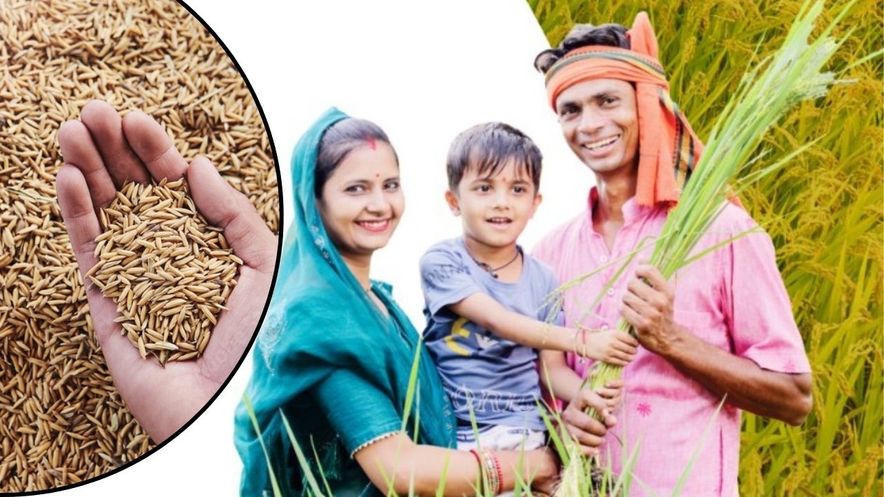 Paddy Bonus: धान किसानों को 4 हजार रुपये बोनस देने की घोषणा, 6.69 लाख किसानों को मिलेगा लाभ, आज जारी होगी राशि