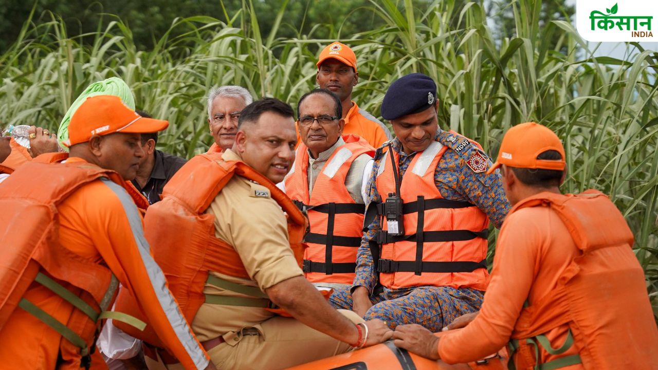 Punjab Flood In Pics: 1400 गांव पूरी तरह से जलमग्न, कृषि मंत्री से मिलकर भावुक हुए किसान