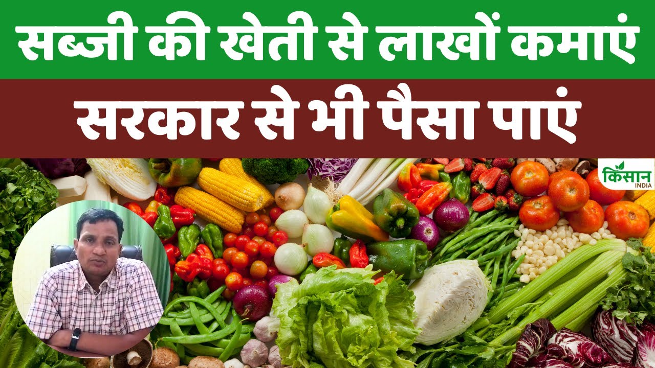 Farming In September: खेती से कमाएं लाखों, सितंबर में इन सब्जियों की बुआई करें
