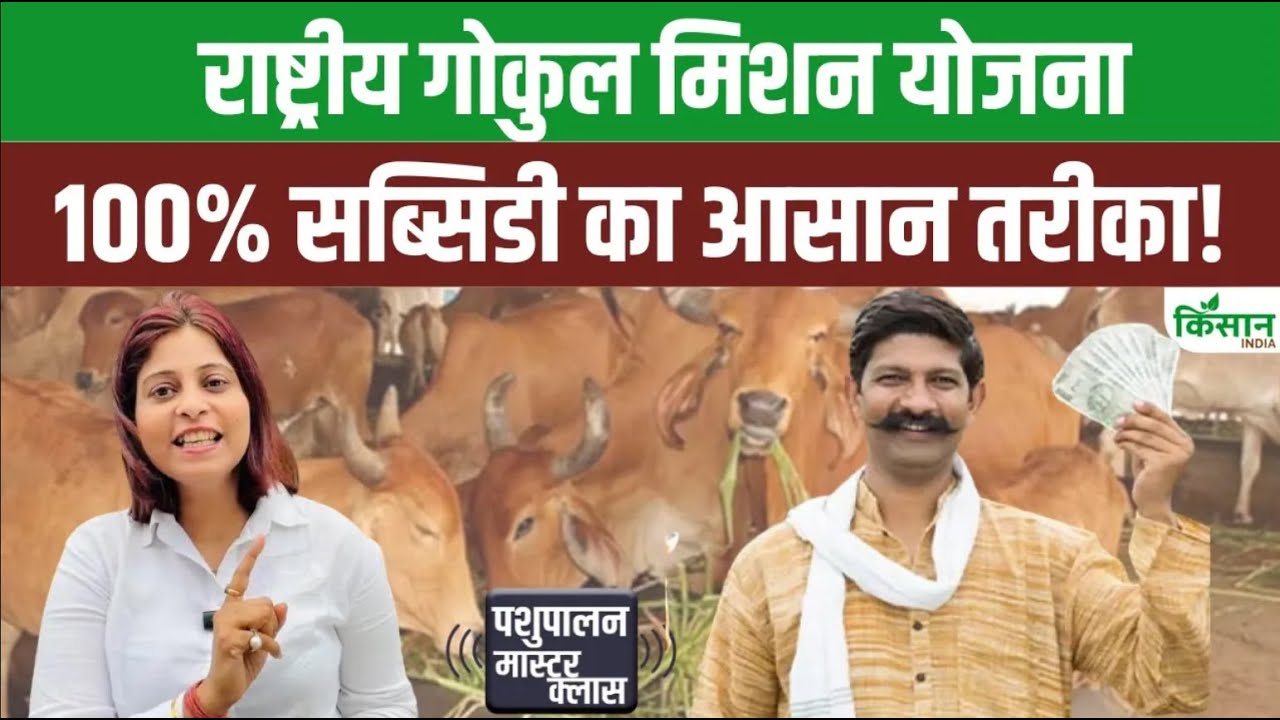 राष्ट्रीय गोकुल मिशन योजना से दूध उत्पादन में 63 फीसदी बढ़ोतरी, जानिए आवेदन करने का पूरा प्रोसेस