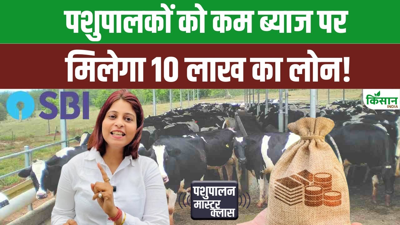 पशुपालकों के लिए राहत की खबर, SBI से कम ब्याज पर मिलेगा 10 लाख तक लोन