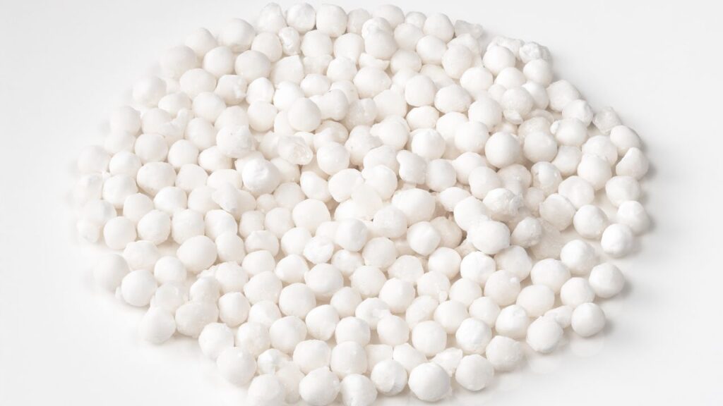 How Is Sabudana Made: कसावा पौधे की जड़ें 8 से 24 महीनों में पूरी तरह तैयार हो जाती हैं. इन्हें काटकर सबसे पहले अच्छी तरह साफ किया जाता है ताकि मिट्टी, धूल और अशुद्धियां पूरी तरह निकल जाएं.