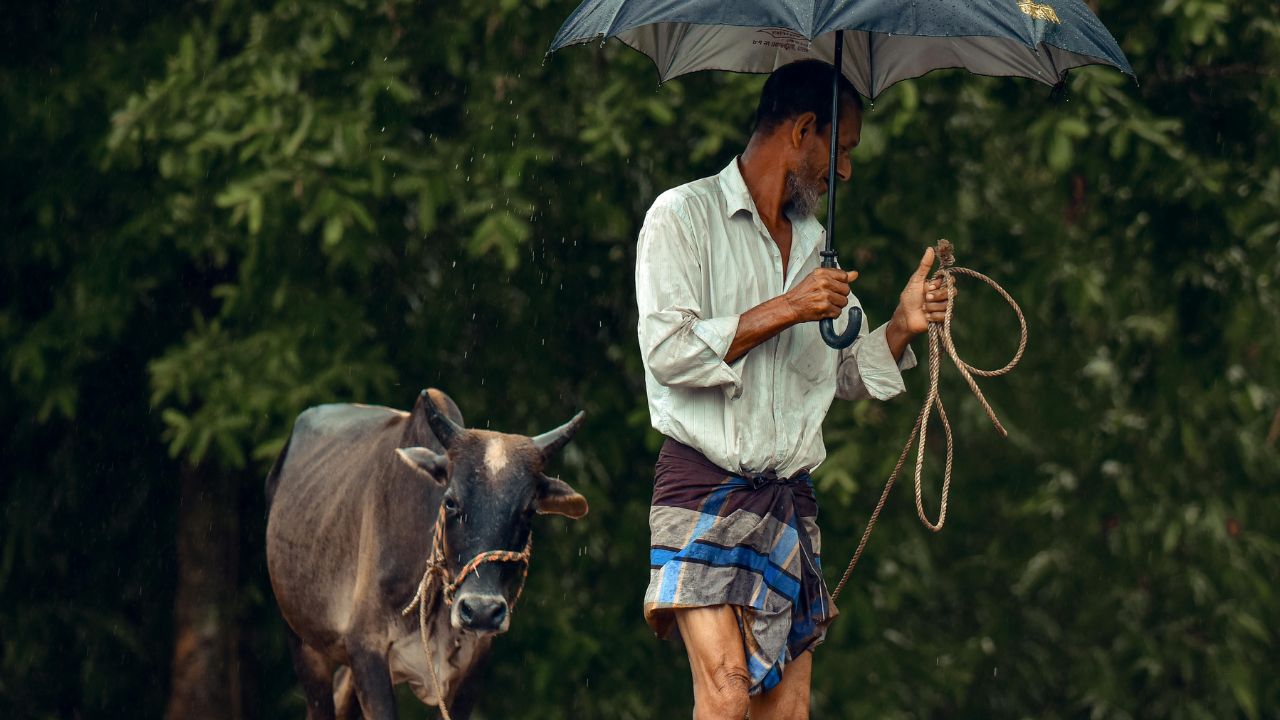 48 घंटों के लिए अलर्ट जारी, कई राज्यों में आंधी के साथ हो सकती है जोरदार बारिश.. किसान बरतें सावधानी