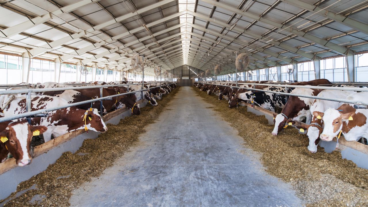 Milkathon 2025 और पुरस्कारों के साथ NDRI सेमिनार में युवा और विशेषज्ञों ने दिखाए डेयरी उद्योग के नए आइडियाज