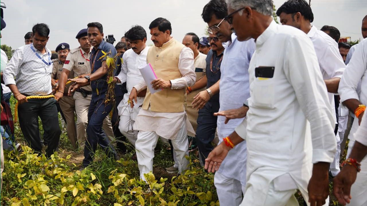 किसानों को बकाया फसल बीमा राशि मिलेगी, कीट हमले से बर्बाद सोयाबीन का मुआवजा जारी होगा