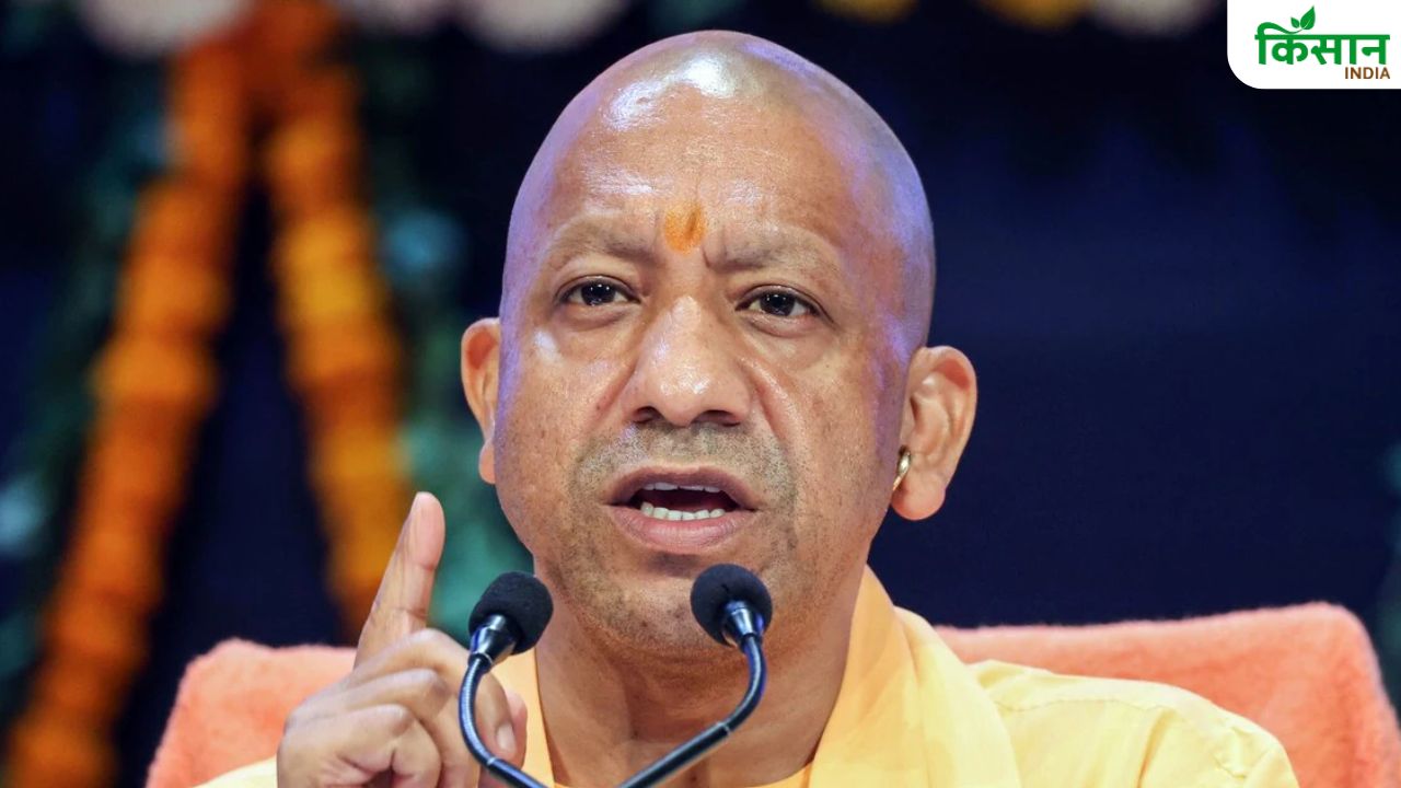 यूपी में खुलेंगे सहकारी डिग्री कॉलेज, सहकारिता और कृषि की पढ़ाई के साथ मिलेंगी नौकरियां