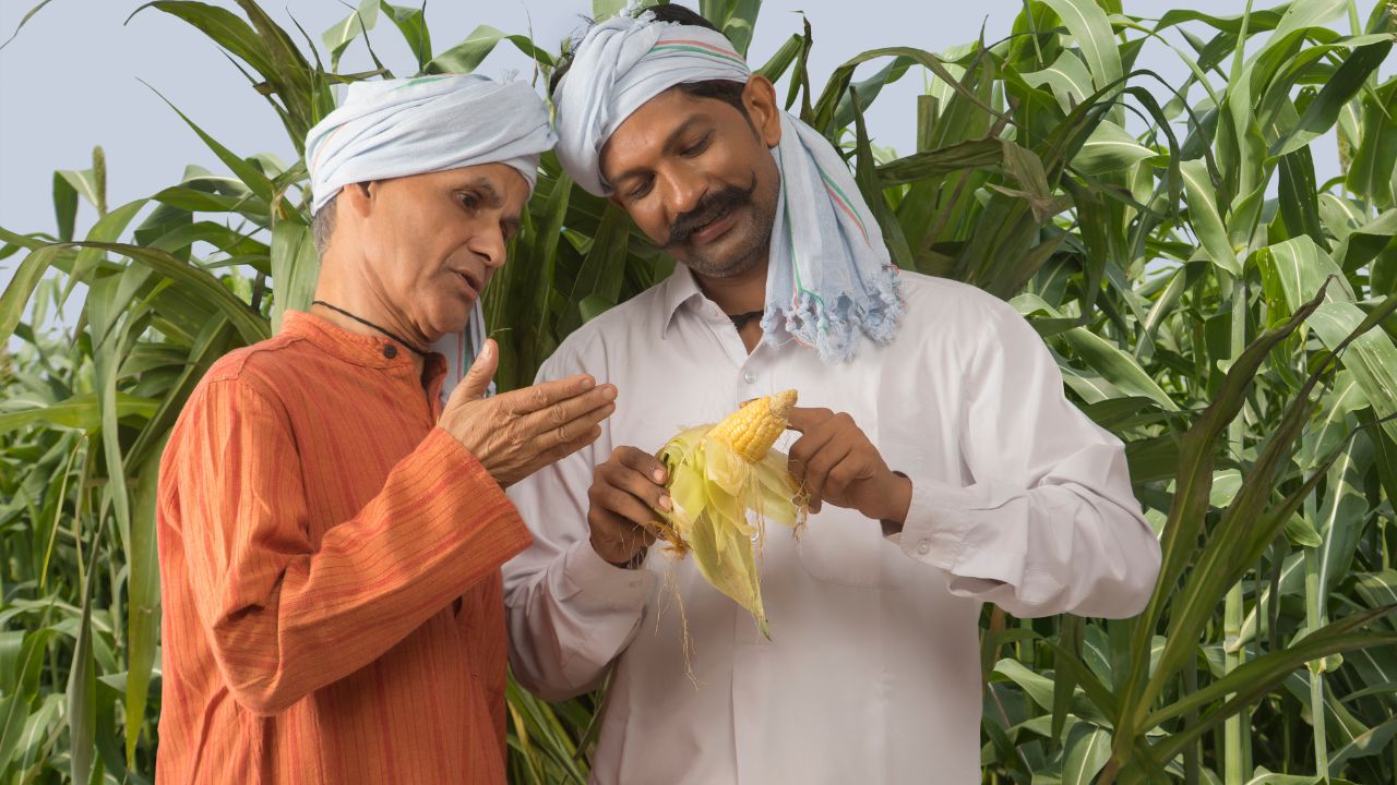 कृषि विकास के लिए यूपी का 2030 मिशन शुरू, नए सीड पार्क बनाने और सब्जी-दूध उत्पादन बढ़ाने का ऐलान
