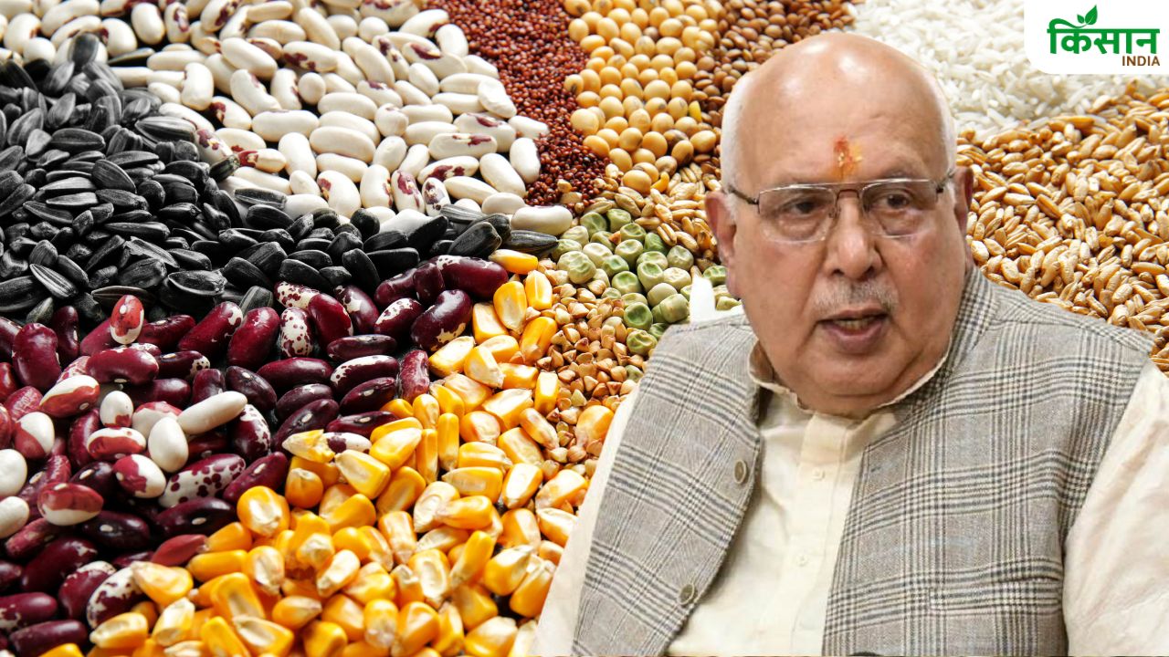 दलहनी और तिलहनी फसलों की बीजकिट फ्री दे रही यूपी सरकार, किसान 25 सितंबर तक कर सकते हैं आवेदन