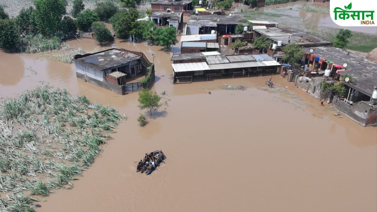हरियाणा के किसानों ने बढ़ाया मदद का हाथ, बाढ़ पीड़ित पंजाब के गांवों तक पहुंचाएंगे राहत