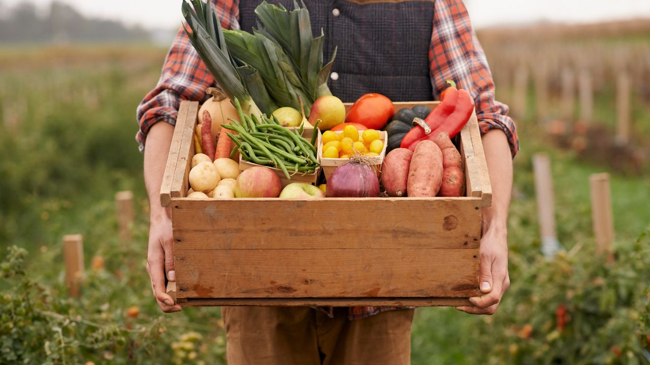 Farming Tips: अक्टूबर महीने में लगाएं ये सुपर प्रॉफिट सब्जियां, 30-40 दिन में होगी बंपर कमाई!