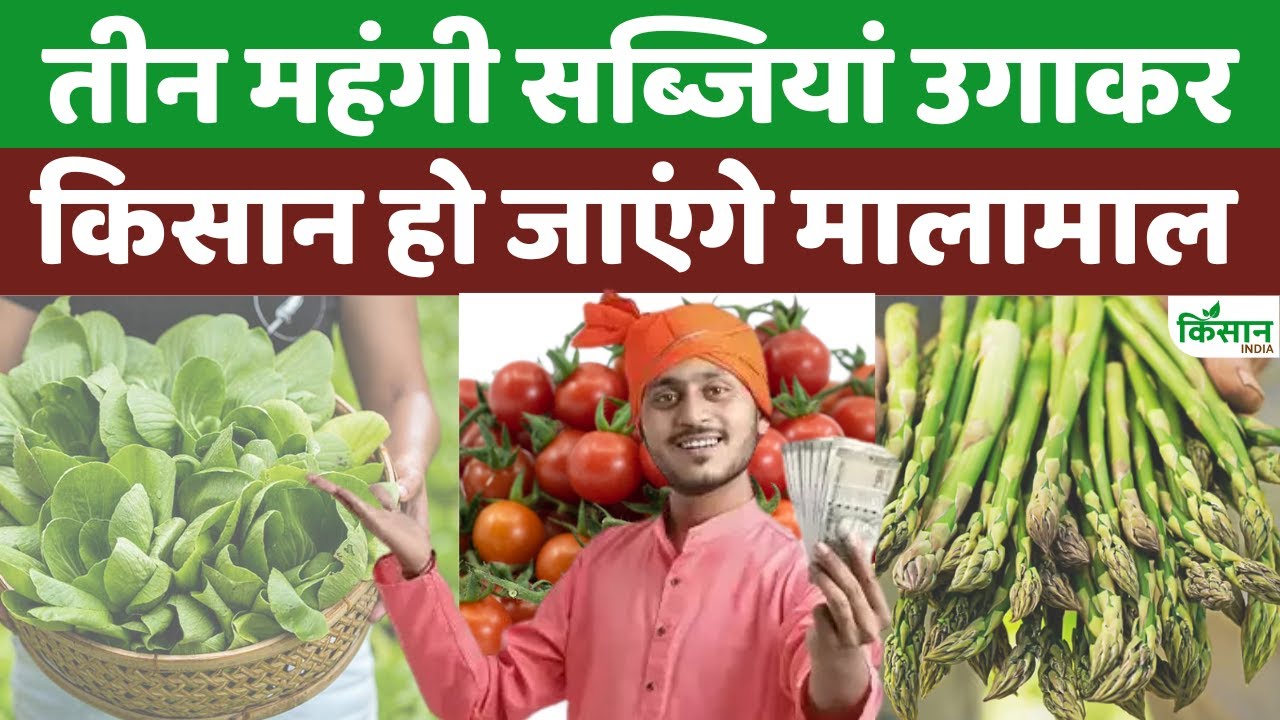 किसान कर लें इन 3 सब्जियों की खेती, होने लगेगी लाखों में कमाई