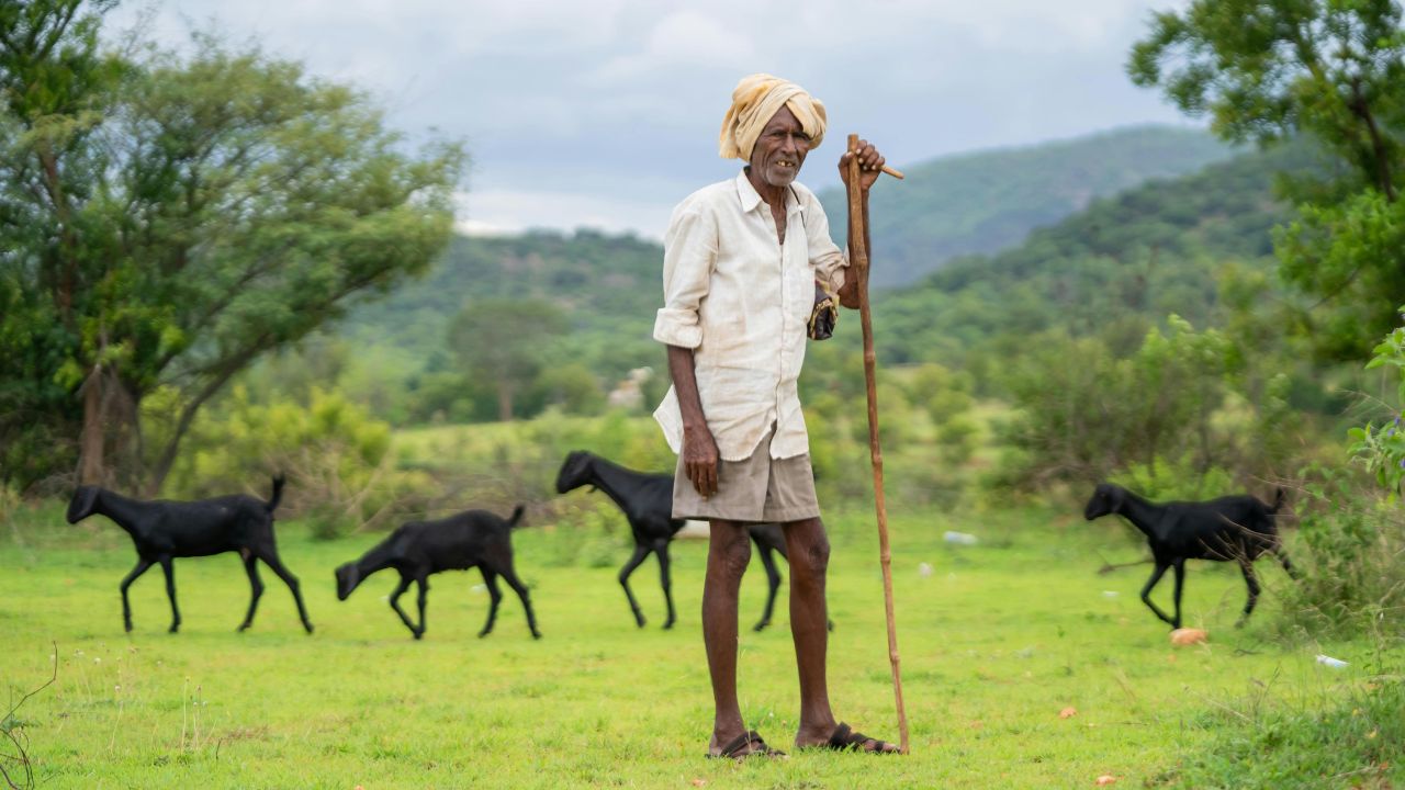 Farming Tips: बस एक छड़ी और सारे खरपतवार होंगे नष्ट, किसानों के लिए बड़े काम का है ये पारंपरिक तरीका