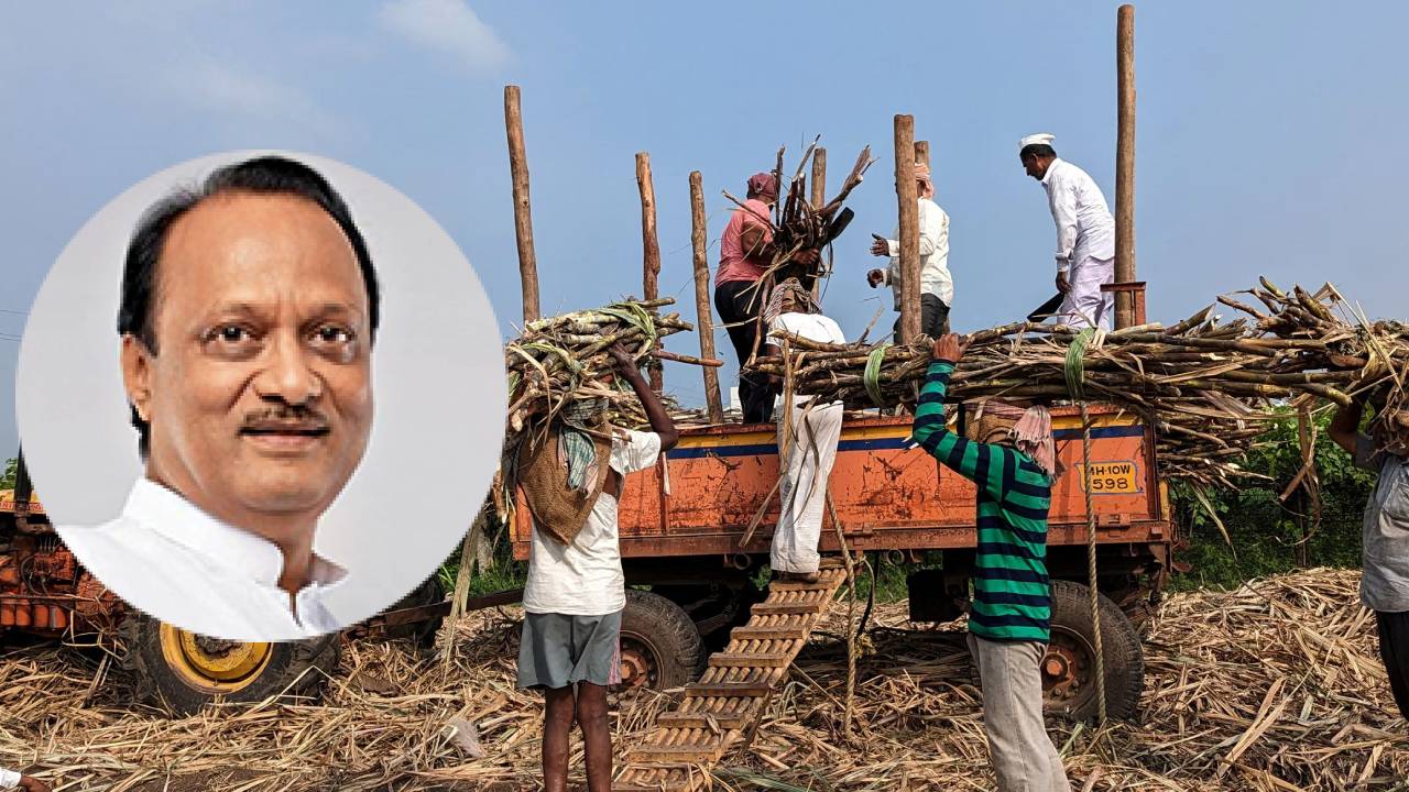 महाराष्ट्र के गन्ना किसानों के लिए बड़ी राहत, अब रिकवरी के आधार पर मिलेगा गन्ने का दाम