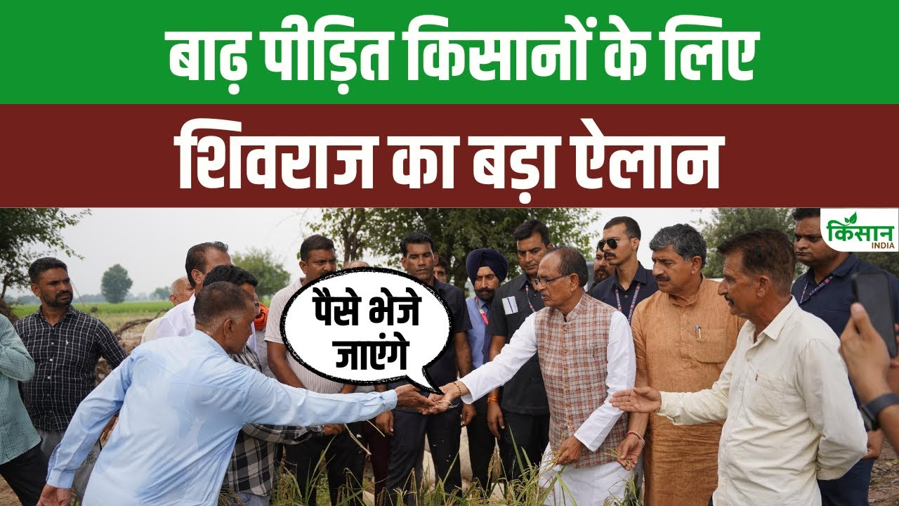 किसानों की मुश्किलें कम करने शिवराज सिंह चौहान ने बाढ़ राहत योजना का बड़ा ऐलान किया