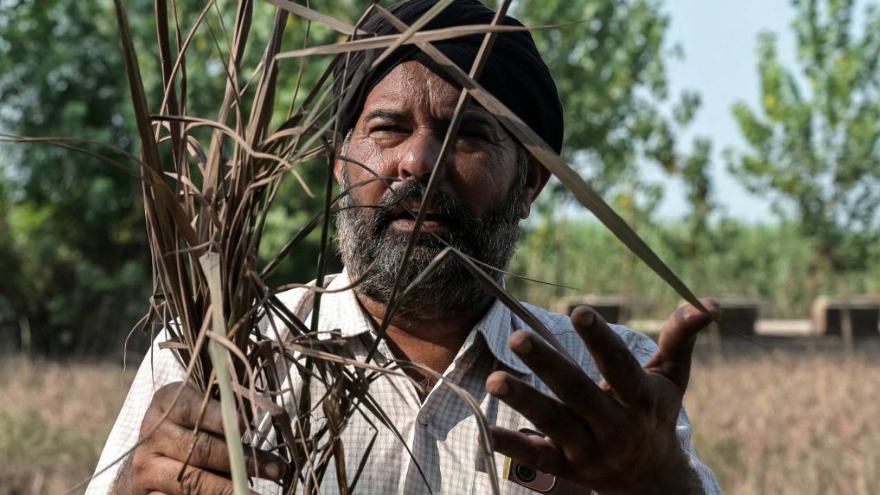 पंजाब में बाढ़ से बर्बाद हुई जमीन, कृषि मंत्री ने केंद्र से मांगी 151 करोड़ रुपये की मदद