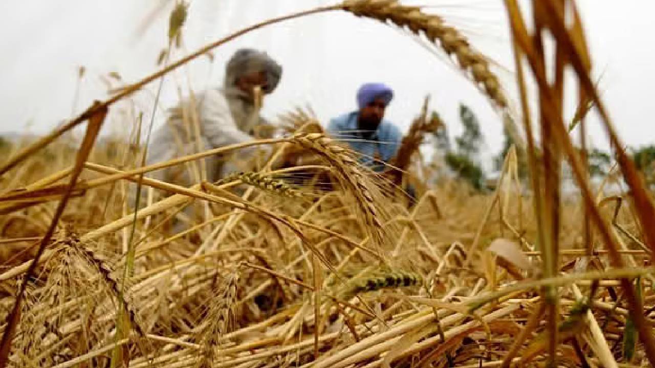 PM Kisan Yojana: बिना जमीन के कागजात वाले अब ले सकेंगे 21वीं किस्त, जान लें नियम में क्या हुआ बदलाव