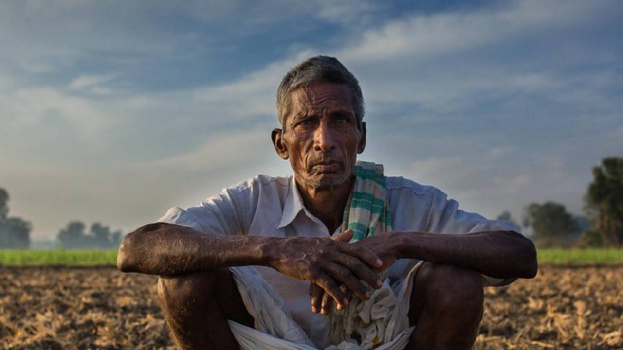 वैश्विक संकट ने भारतीय कृषि को झकझोरा, बढ़ती लागत और शिपिंग संकट के बीच फंसे किसान