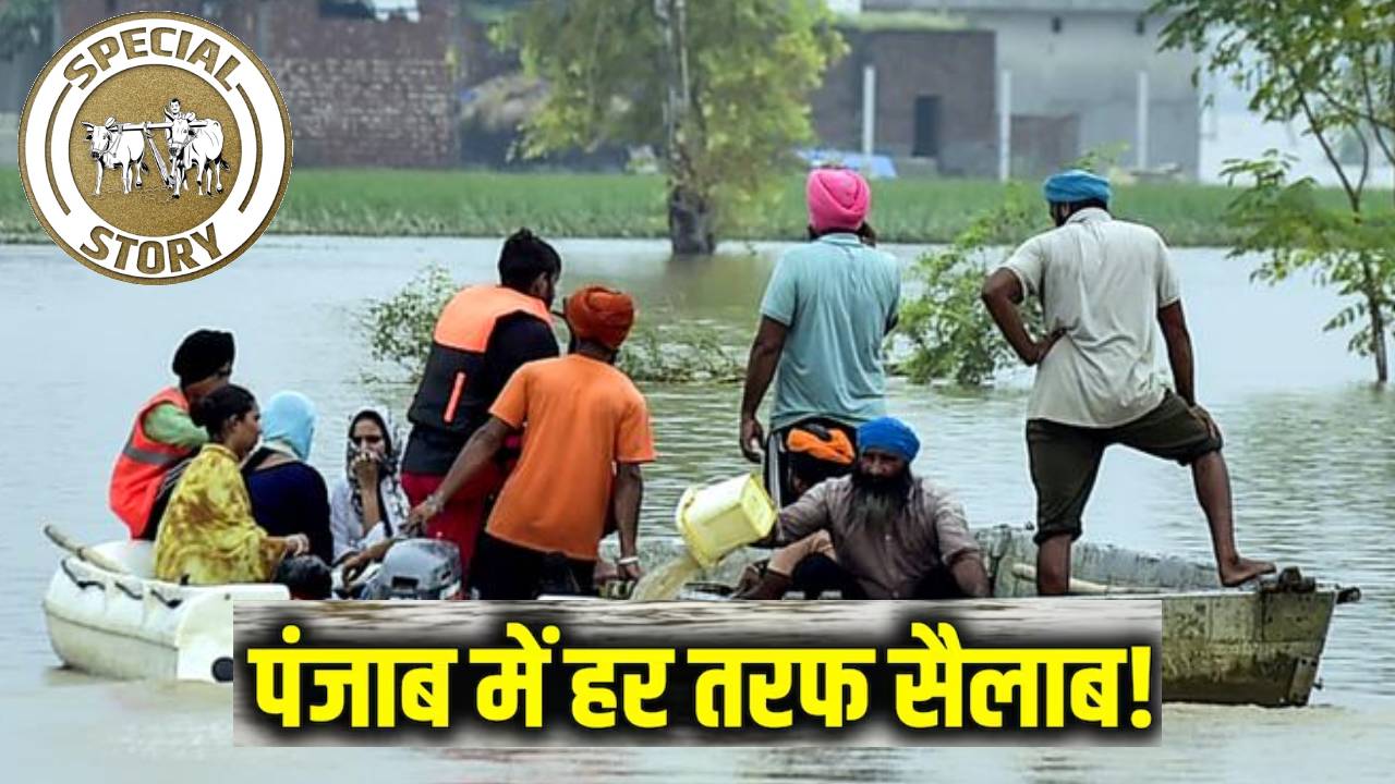 फसल बर्बाद, गांव डूबे और लाखों बेघर..क्यों बार-बार बाढ़ की चपेट में आता है पंजाब?
