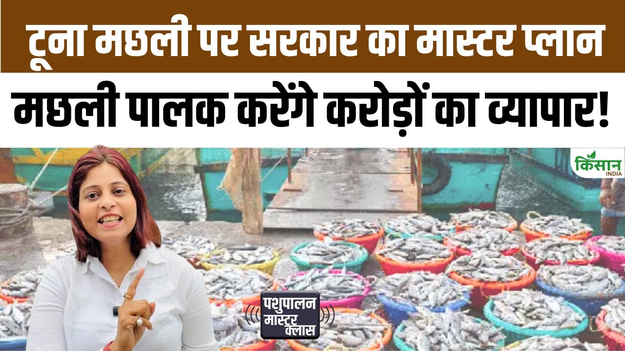 समुद्री शैवाल और टूना मछली से नई क्रांति, लक्षद्वीप मछुआरों की आय में होगा बड़ा इजाफा