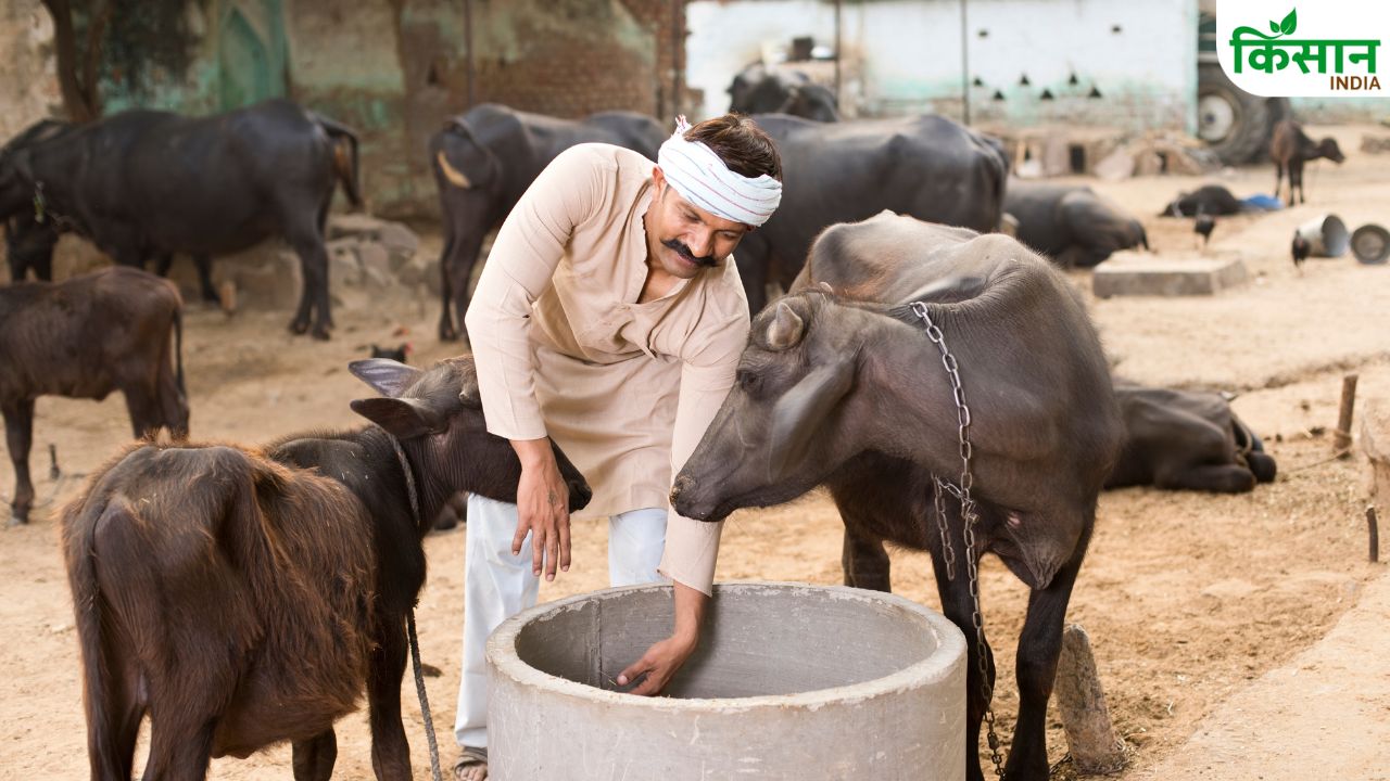 सरकार का बड़ा फैसला, दिवाली से पहले किसानों को मिलेगा 20000 रुपये एकड़ मुआवजा.. प्रस्ताव पारित