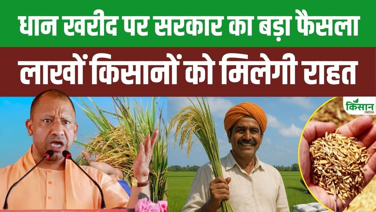 उत्तर प्रदेश में धान खरीद की शुरुआत जल्द, किसान इन 3 आसान स्टेप्स में करें रजिस्ट्रेशन