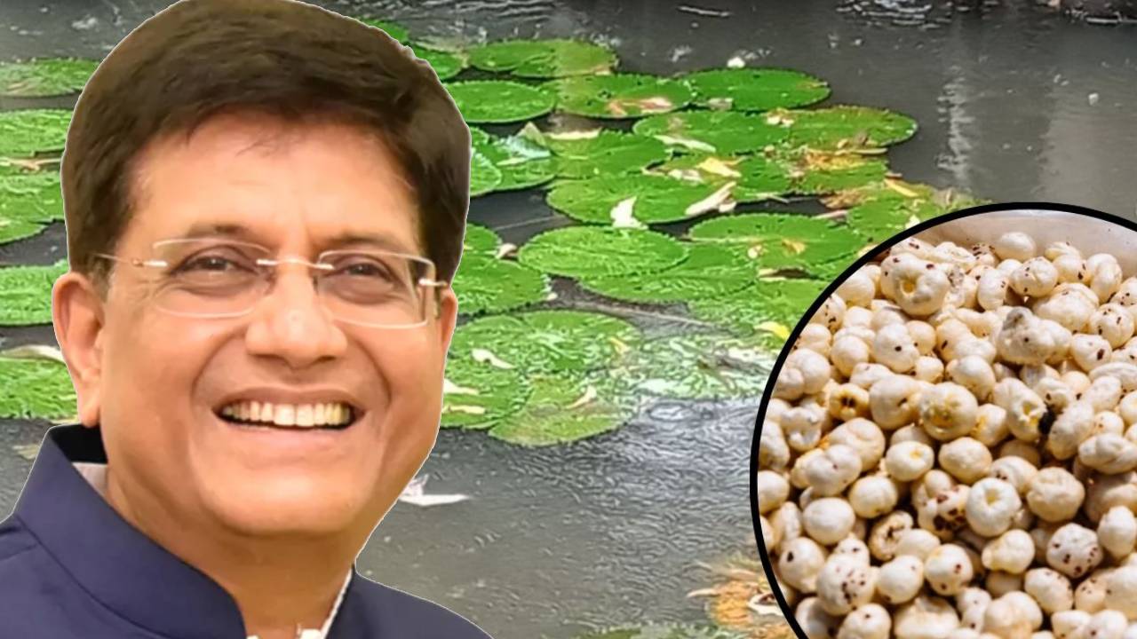 अब विदेशों में भी चमकेगा बिहार का ब्रांड, पटना में खुला APEDA का पहला क्षेत्रीय कार्यालय