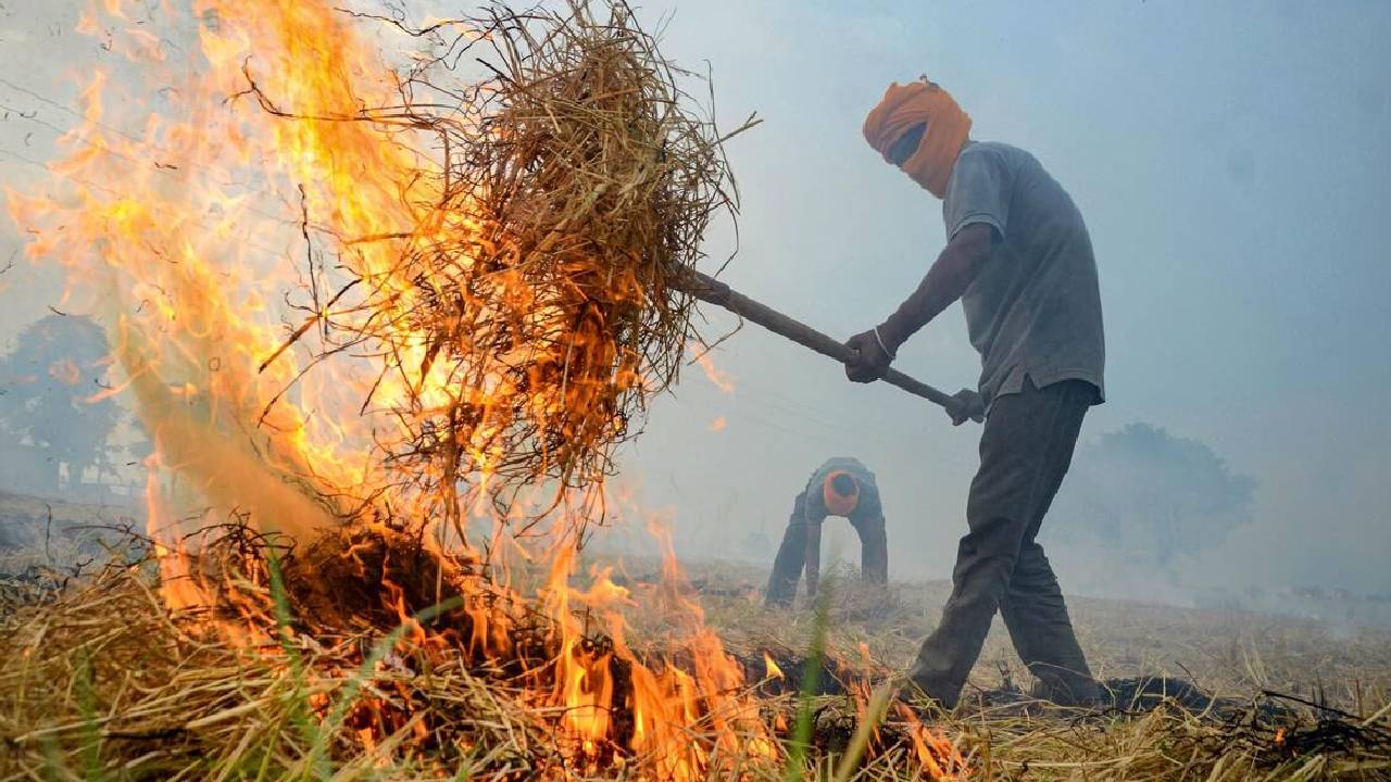 Explainer: पराली से अब प्रदूषण नहीं, बढ़ेगी किसानों की आमदनी, जानिए कैसे?