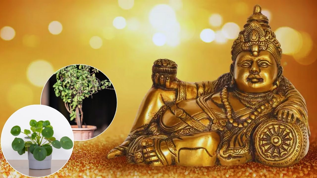 Gardening Tips: घर में लगाएं भगवान कुबेर का पसंदीदा पौधा, धन और सौभाग्य बढ़ेगा!
