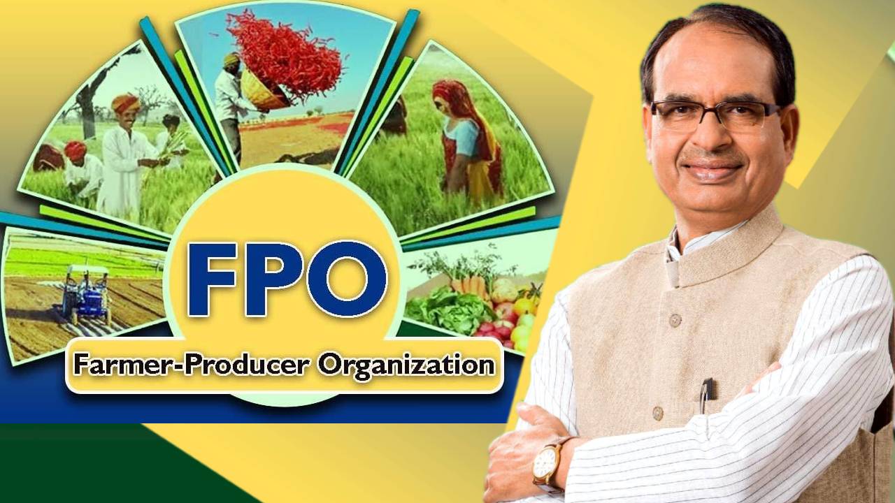 राष्ट्रीय FPO समागम: दिल्ली में जुटे देशभर के किसान, 267 एफपीओ पेश करेंगे अपने उत्पाद