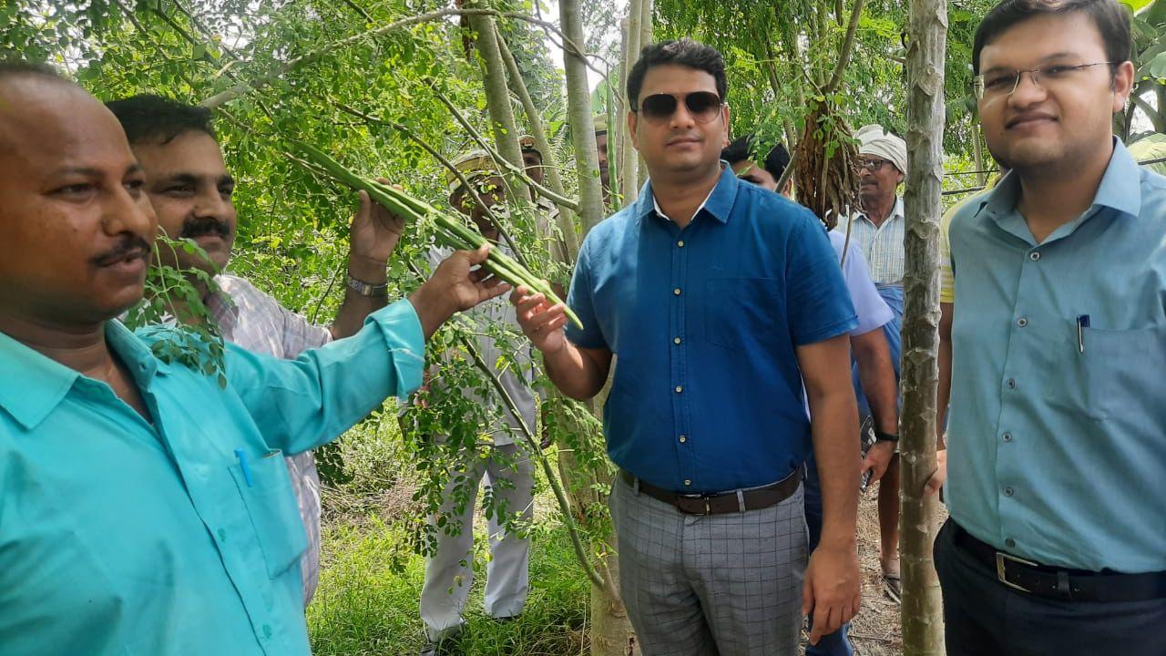 नौकरी छोड़ 28 साल के शिव कुमार ने शुरू की औषधि की खेती, आज सालाना कमाई 8 लाख रुपये