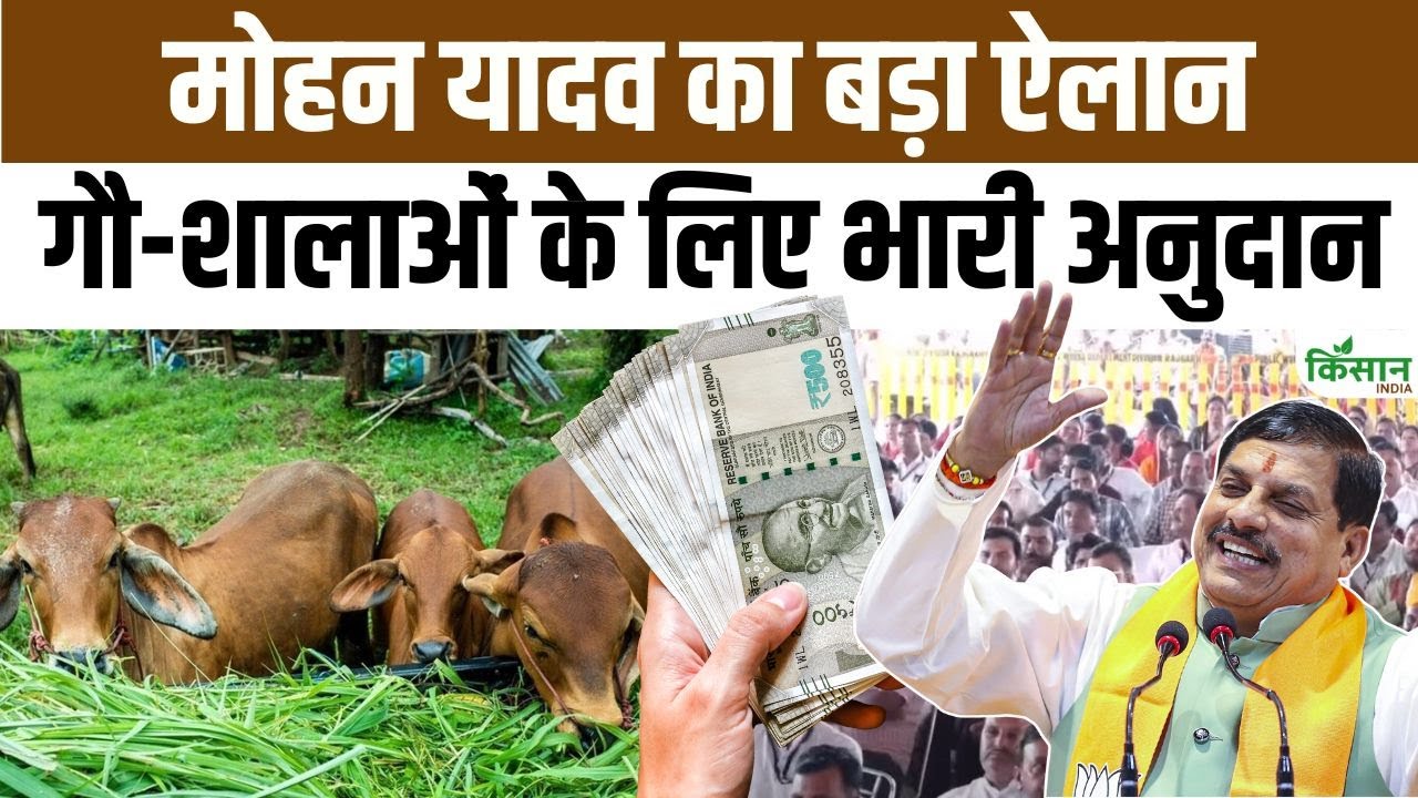 गोवर्धन पूजा पर सीएम मोहन यादव का बड़ा ऐलान, गौशाला को मिलने वाली सब्सिडी में बढ़ोतरी