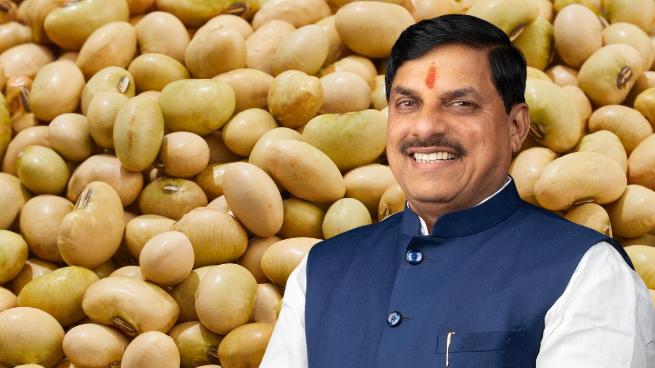 धनतेरस पर 2 लाख किसानों के खाते में आए 118 करोड़ रुपये,  CM मोहन यादव ने जारी की फसल नुकसान की राशि