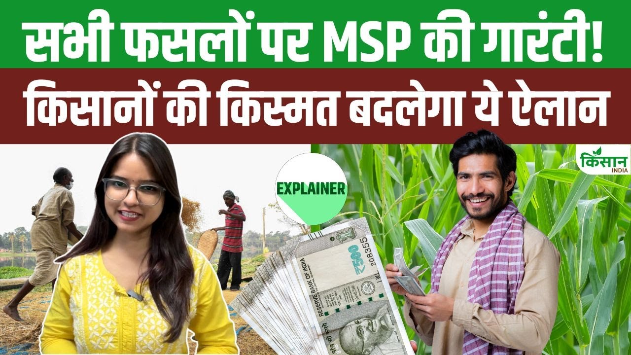 Bihar Election 2025: किसानों के लिए बड़ा ऐलान, सभी फसलों पर मिलेगी MSP गारंटी