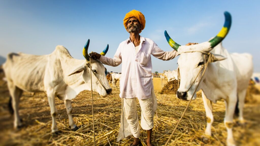 PM Kisan Yojana: प्रधानमंत्री किसान सम्मान निधि योजना का मकसद आर्थिक रूप से कमजोर किसानों को मदद देना है. इस योजना के तहत सालाना 6,000 रुपये की राशि तीन समान किश्तों में सीधे बैंक खाते में भेजी जाती है. यह राशि किसानों के खेती खर्च और परिवार की जरूरतों में सहायक होती है.