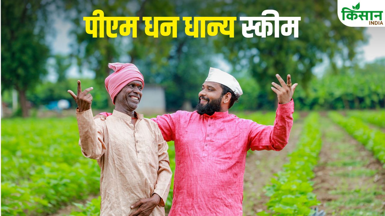 PM Dhan Dhanya Scheme: क्या है PM धन धान्य योजना, किसानों को कैसे मिलेगा इसका लाभ