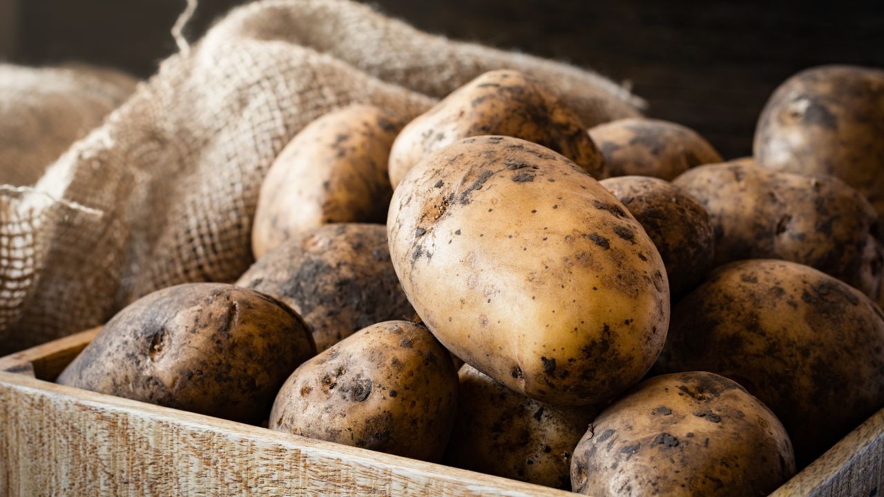 Highest Potato Production: आलू की सबसे ज्यादा पैदावार कहां होती है, टॉप 10 राज्यों की सूची यहां देखें