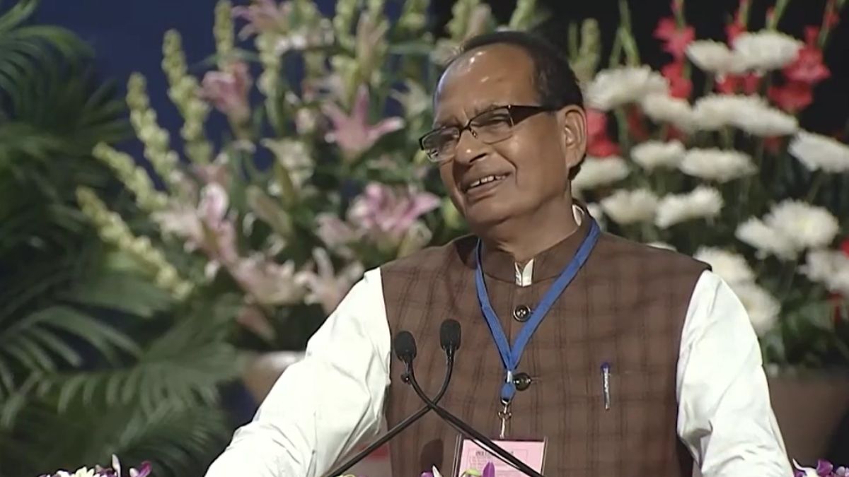 GST में कटौती से किसानों को सीधा फायदा, सस्ते हो गए ट्रैक्टर.. जानें KCC को लेकर क्या बोले कृषि मंत्री