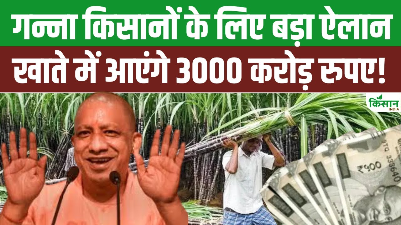 Sugarcane Price: योगी सरकार ने गन्ना के दामों में की बंपर बढ़ोतरी, अब मिलेगी इतनी कीमत