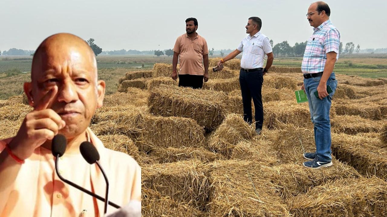 यूपी में शुरू हुई अनोखी स्कीम, पराली के बदले किसानों को मिलेगी गोबर खाद, बस करना होगा ये काम