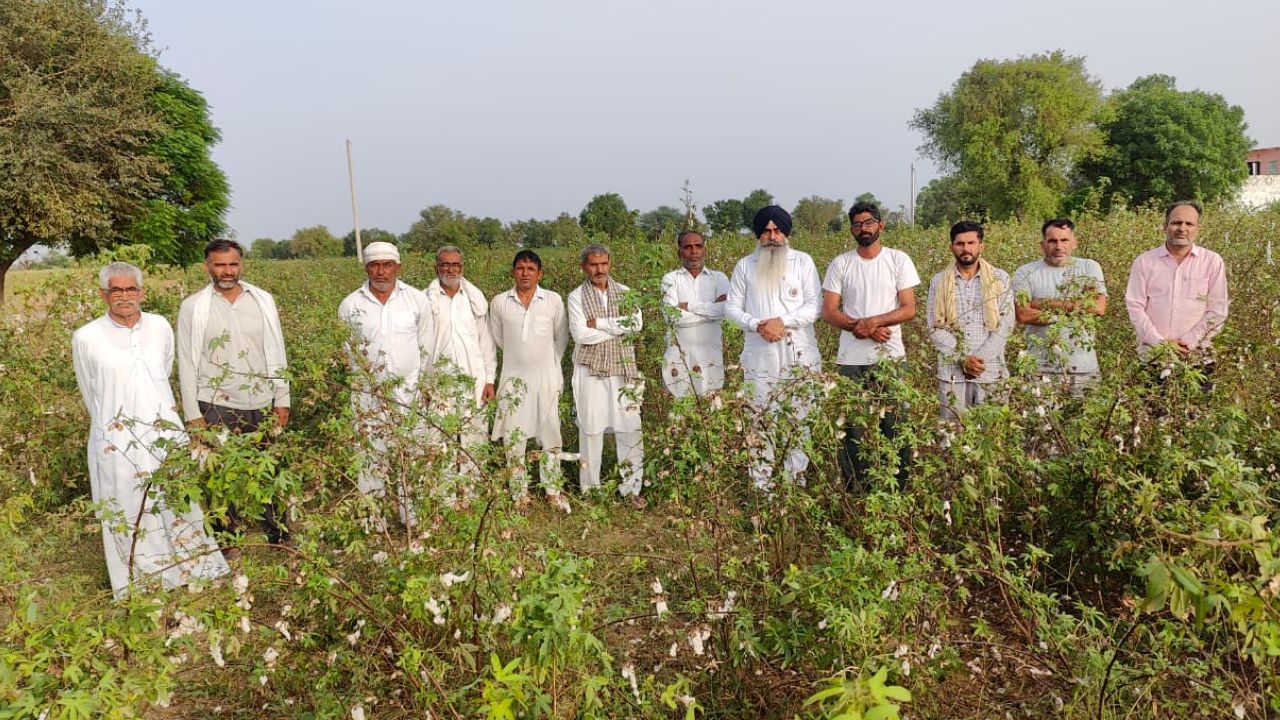 फसलों में कीटों से बचे तो नकली उत्पादों की चपेट में आए किसान, अब बारिश ने मेहनत पर पानी फेरा