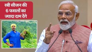 गेहूं-सरसों, चना समेत 6 फसलों का MSP बढ़ाने की घोषणा, 297 लाख मीट्रिक टन उत्पादन का अनुमान गेहूं-सरसों, चना समेत 6 फसलों का MSP बढ़ाने की घोषणा, 297 लाख मीट्रिक टन उत्पादन का अनुमान